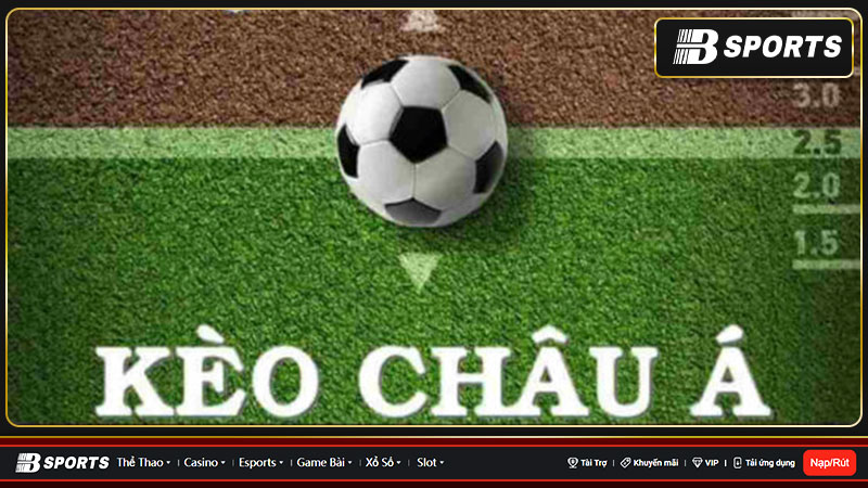 Người đặt cược cũng có thể đặt cho đội cửa dưới Người đặt cược cũng có thể đặt cho đội cửa dưới