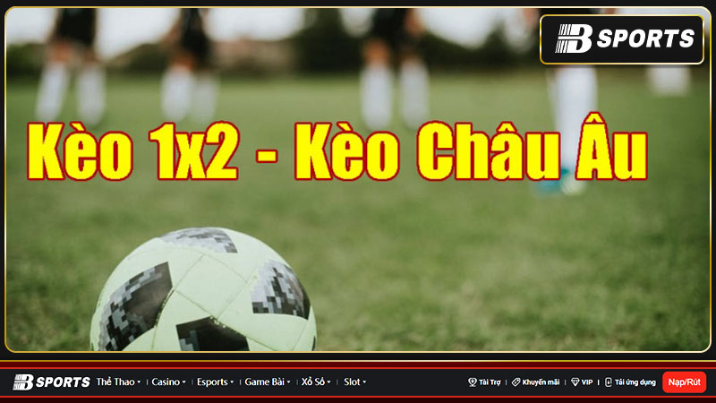 Hướng dẫn đọc kèo châu Âu chuẩn xác nhất 2023 Hướng dẫn đọc kèo châu Âu chuẩn xác nhất 2023