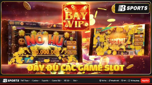 bay-vip