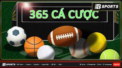 ca-cuoc-365-2