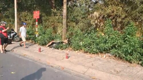 Hiện trường nơi phát hiện một người đàn ông bất ngờ tử vong bên gốc cây 