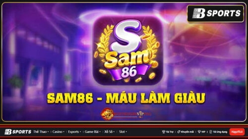 sam-86-3