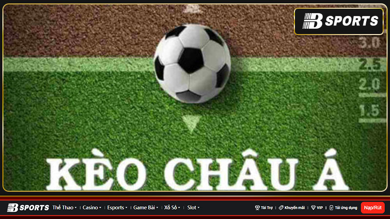 Tỉ lệ kèo 88.com - Tra soát kết quả cá cược bóng đá nhanh Tỉ lệ kèo 88.com - Tra soát kết quả cá cược bóng đá nhanh