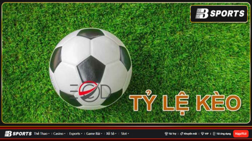 ty-le-keo-7m-3