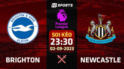 Soi kèo Brighton vs Newcastle, 23h30 ngày 02/09 - Ngoại hạng Anh
